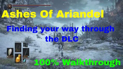 Finish The Ringed City or go start/complete Ashes of Ariandel first.